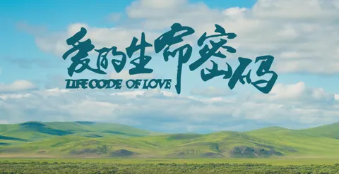 爱的生命密码
