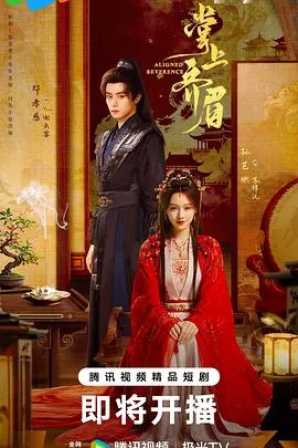 孤女苏锦沅的绝境重生：《掌上齐眉》剧情简介