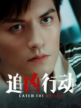紧张刺激的追捕故事 —— 追凶行动