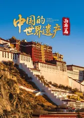 探索中国的西南遗产：一部引人入胜的纪录片