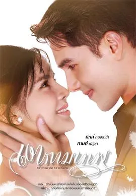 被怨恨所困的年轻人：《新爱神之影》复仇旅程