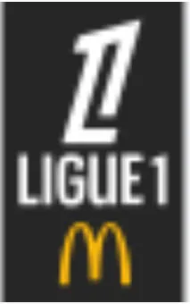 2025-4-19 法甲联赛 雷恩VS南特