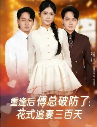 重逢后傅总破防了：花式追妻三百天