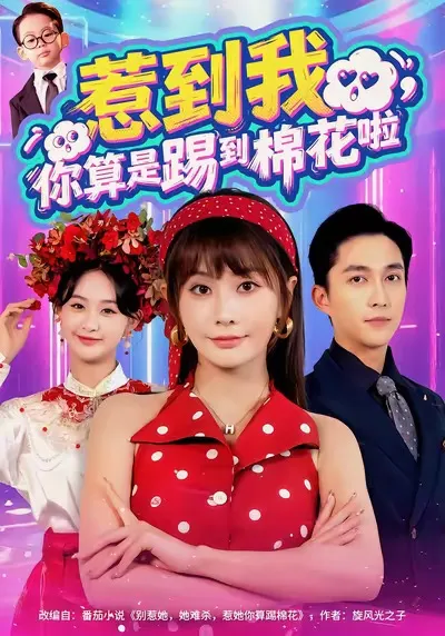 惹到我-你算是踢到棉花啦