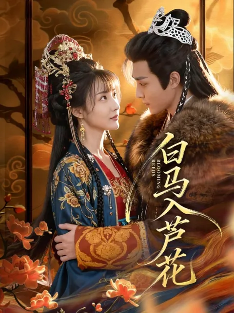 《白马入芦花》剧情精彩，不容错过