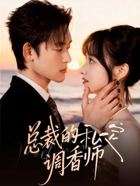 《总裁的私定调香师》职场爱情故事