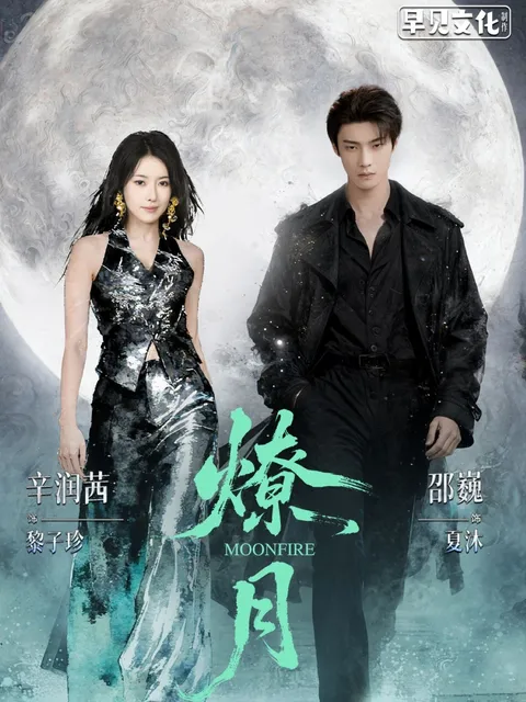 一场激荡人心的剧情——电视剧《燎月》