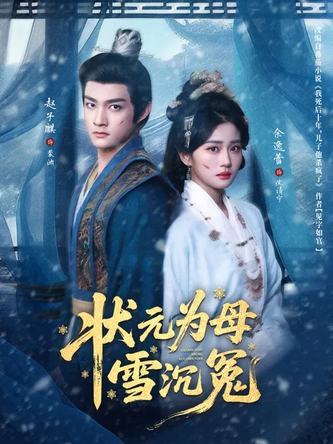 复仇之路，《状元为母雪沉冤》剧情揭秘