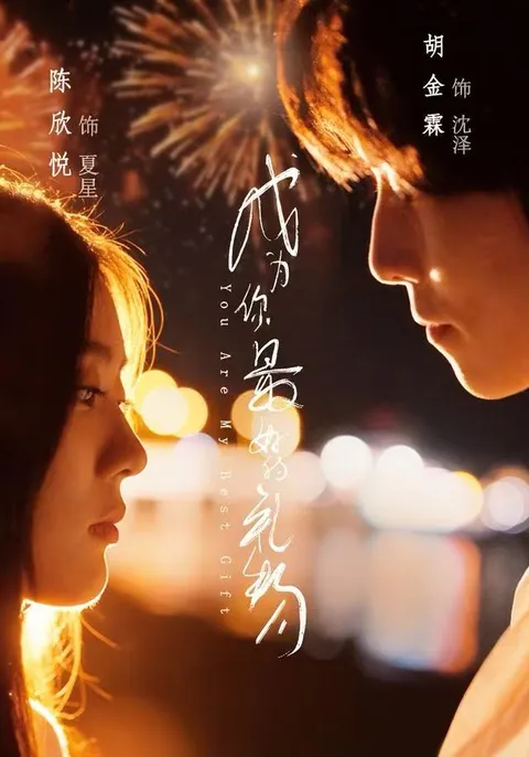 一部充满惊喜与感动的剧情大作