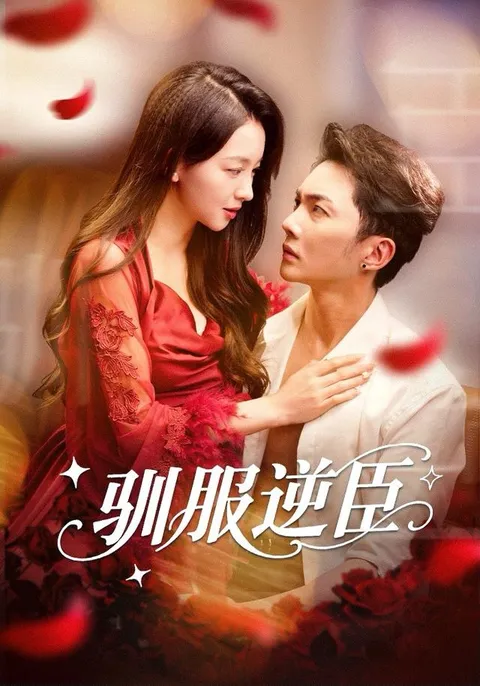 剧情精彩纷呈：《驯服逆臣》