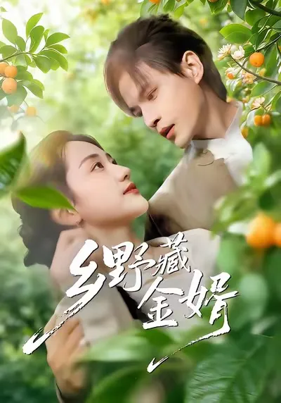 《乡野藏金婿》精彩剧情揭秘