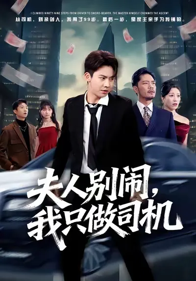 轻松搞笑的《夫人别闹我只做司机》剧情简介