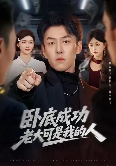 《卧底成功老大可是我的人》剧情揭秘