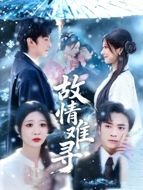 情感纠葛的《故情难寻》