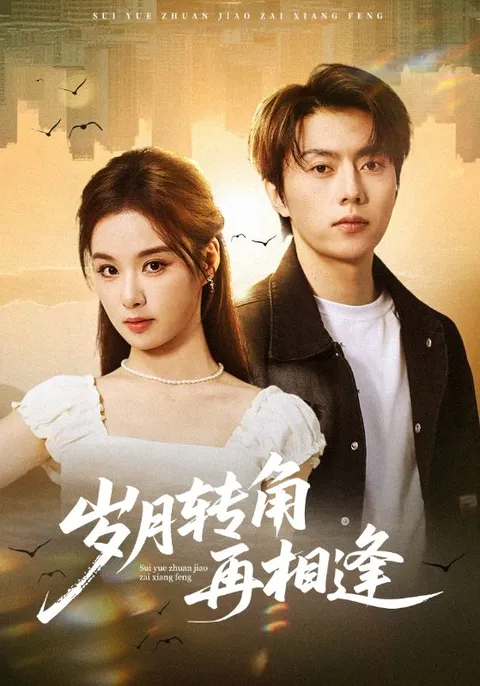 故事跌宕起伏：《岁月转角再相逢》