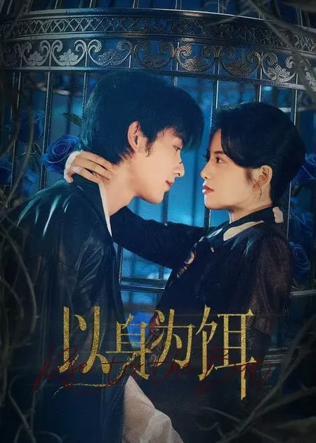 悬疑剧情《以身为饵》引人入胜