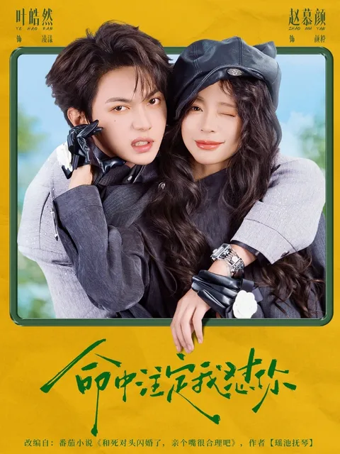 剧情紧凑，让人上瘾的《命中注定我怼你》