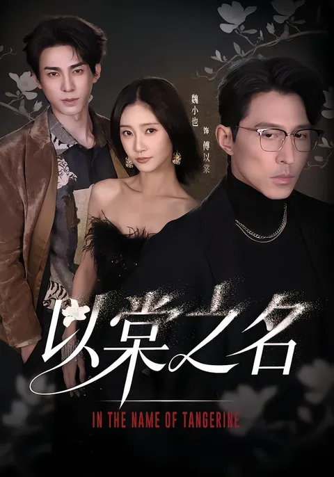 扣人心弦的剧情——《以棠之名》