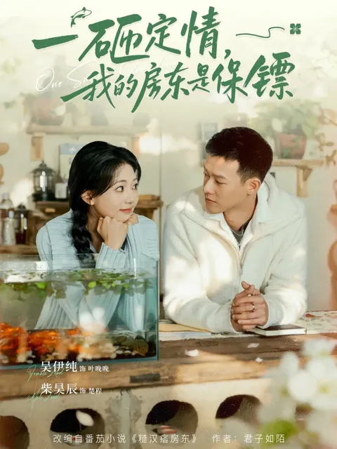 一砸定情：跌宕起伏的房东保镖故事