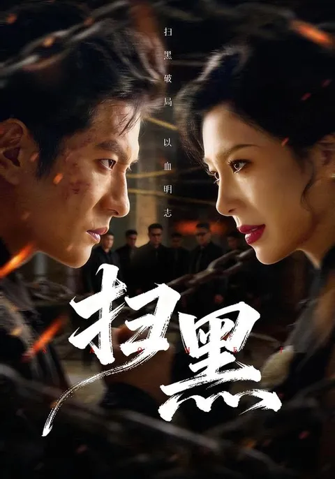 扫黑 - 打击犯罪的剧情篇