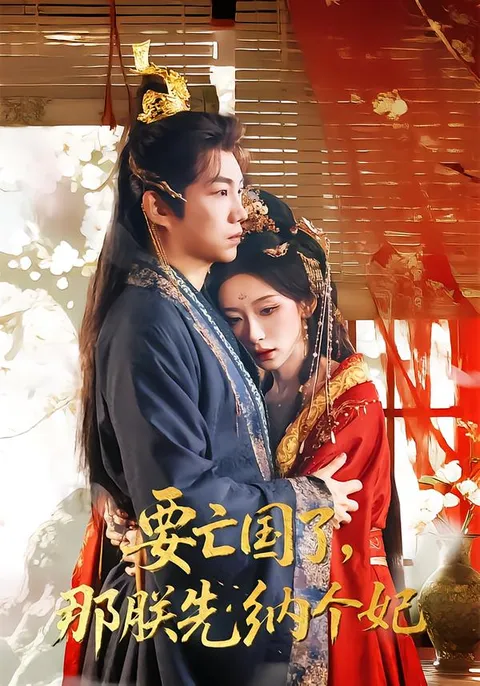《要亡国了那朕先纳个妃》剧情揭秘