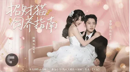 有趣的招财猫生活