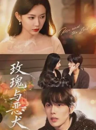 剧情跌宕起伏，《玫瑰与恶犬》