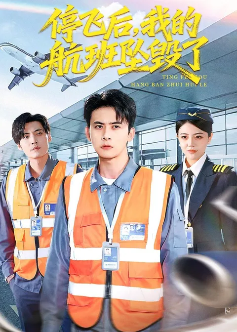 《停飞后-我的航班坠毁了》剧情揭秘