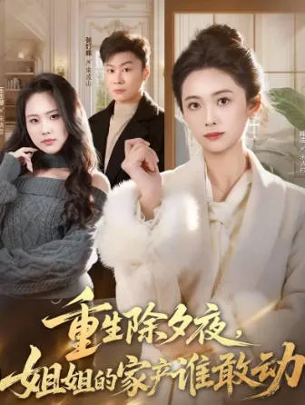 家庭恩怨-《重生除夕夜》揭示家产争夺
