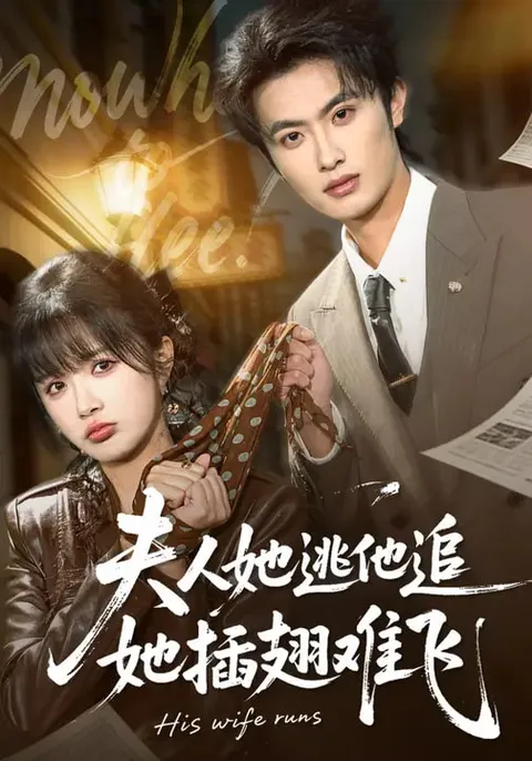 剧情反转连环扣，《夫人她逃他追，她插翅难飞》