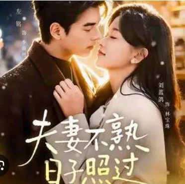 《夫妻不熟-日子照过》：以“日子照过”为主题的爽文短剧